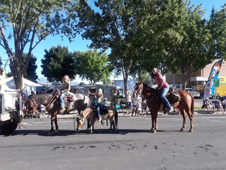 students on pony and horses