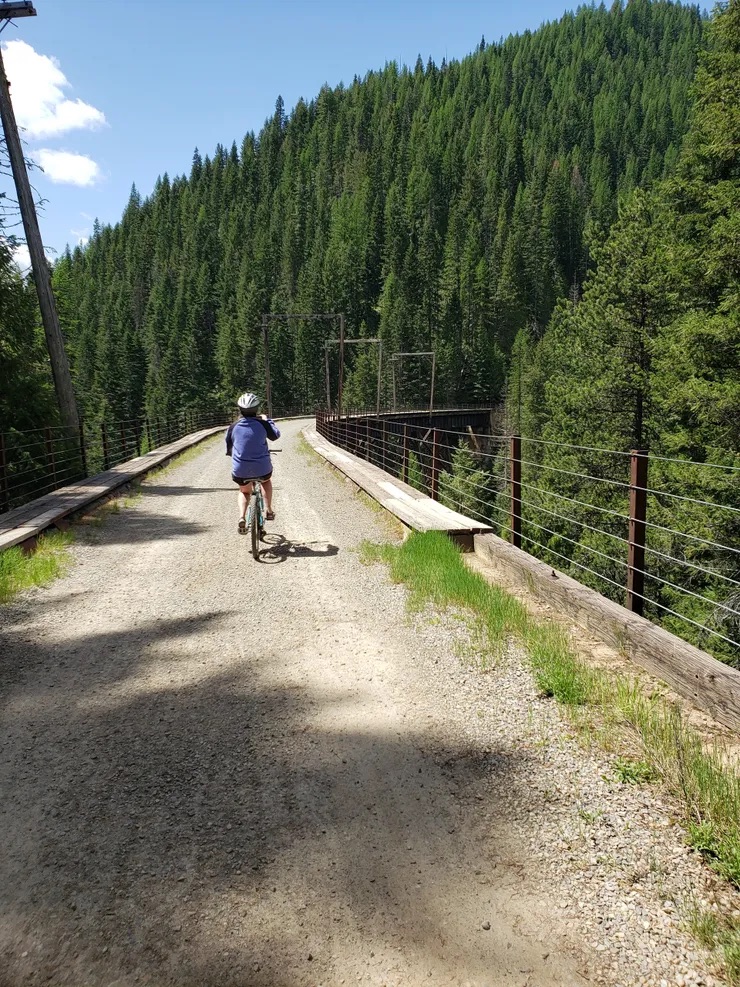 Bicyclist on a scenic trail with mountains in the background.