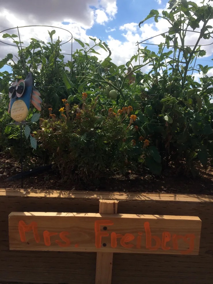 Garden scene with a whimsical touch of a bird character, featuring vegetables and a sign.