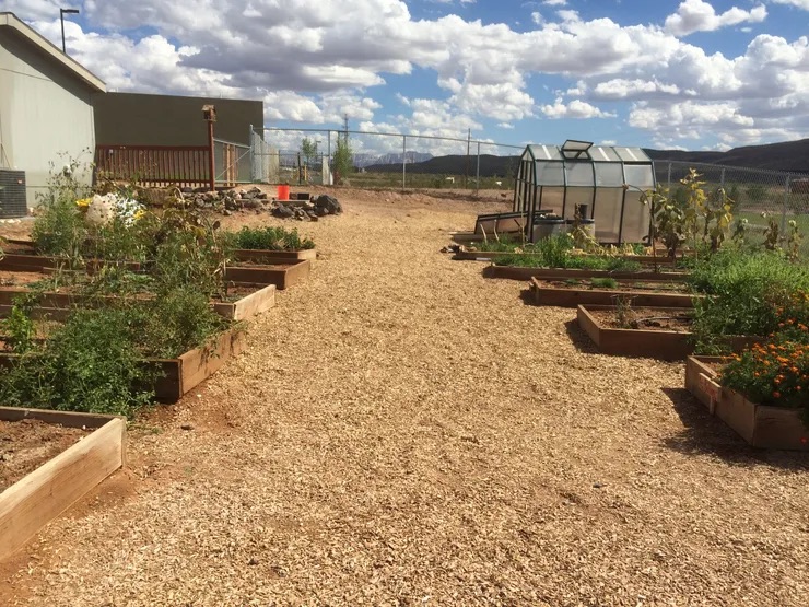 A well-maintained community garden with a gravel pathway, offering fresh produce and a tranquil space for gardening.