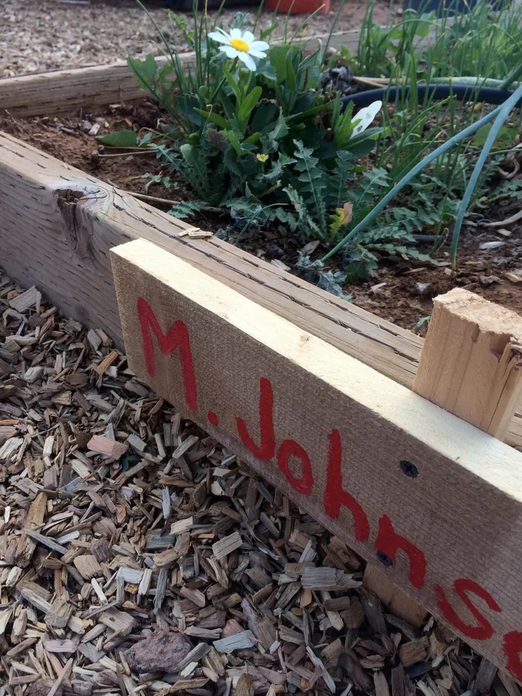 A sign with the name 'M. Johnson' on a wooden plank, surrounded by small plants in a garden setting.
