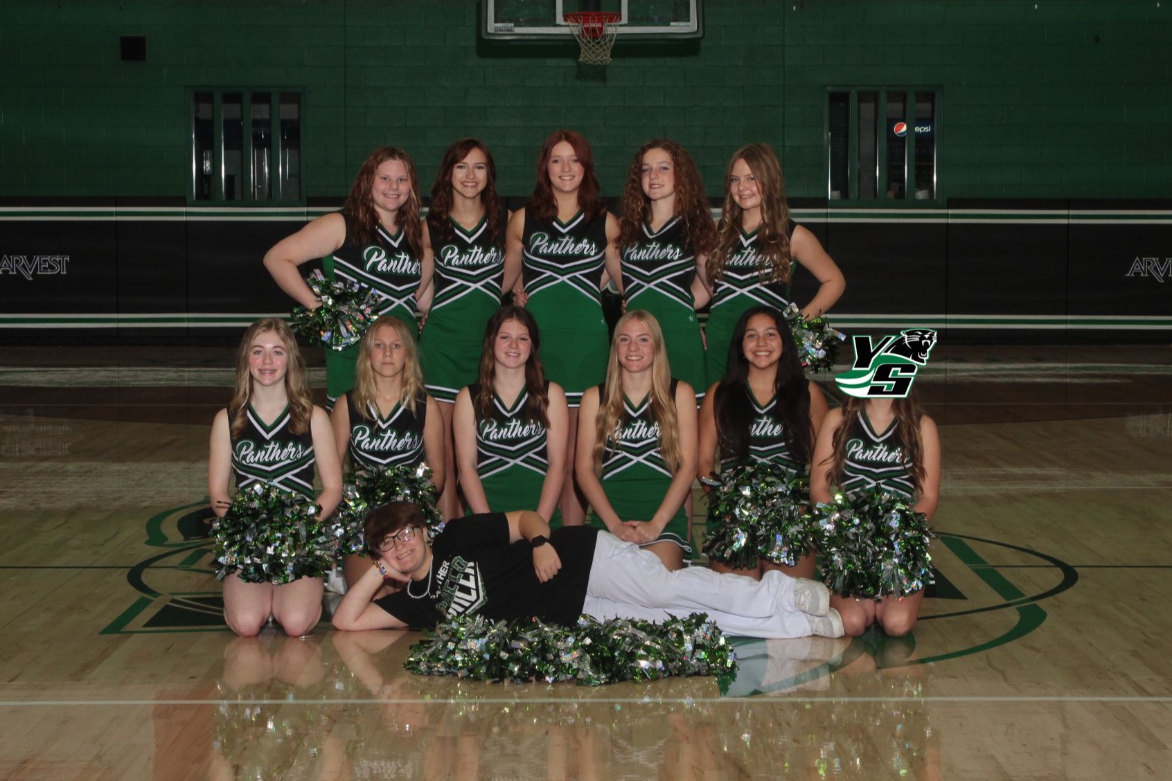 Cheer team for Yellville-Summit