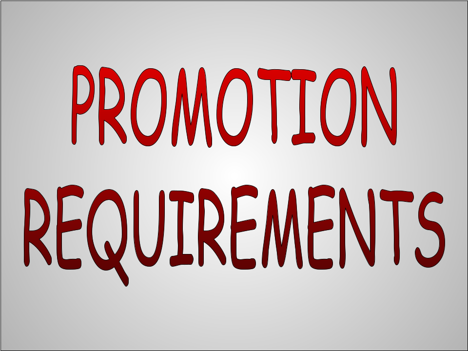 promotion requirements
