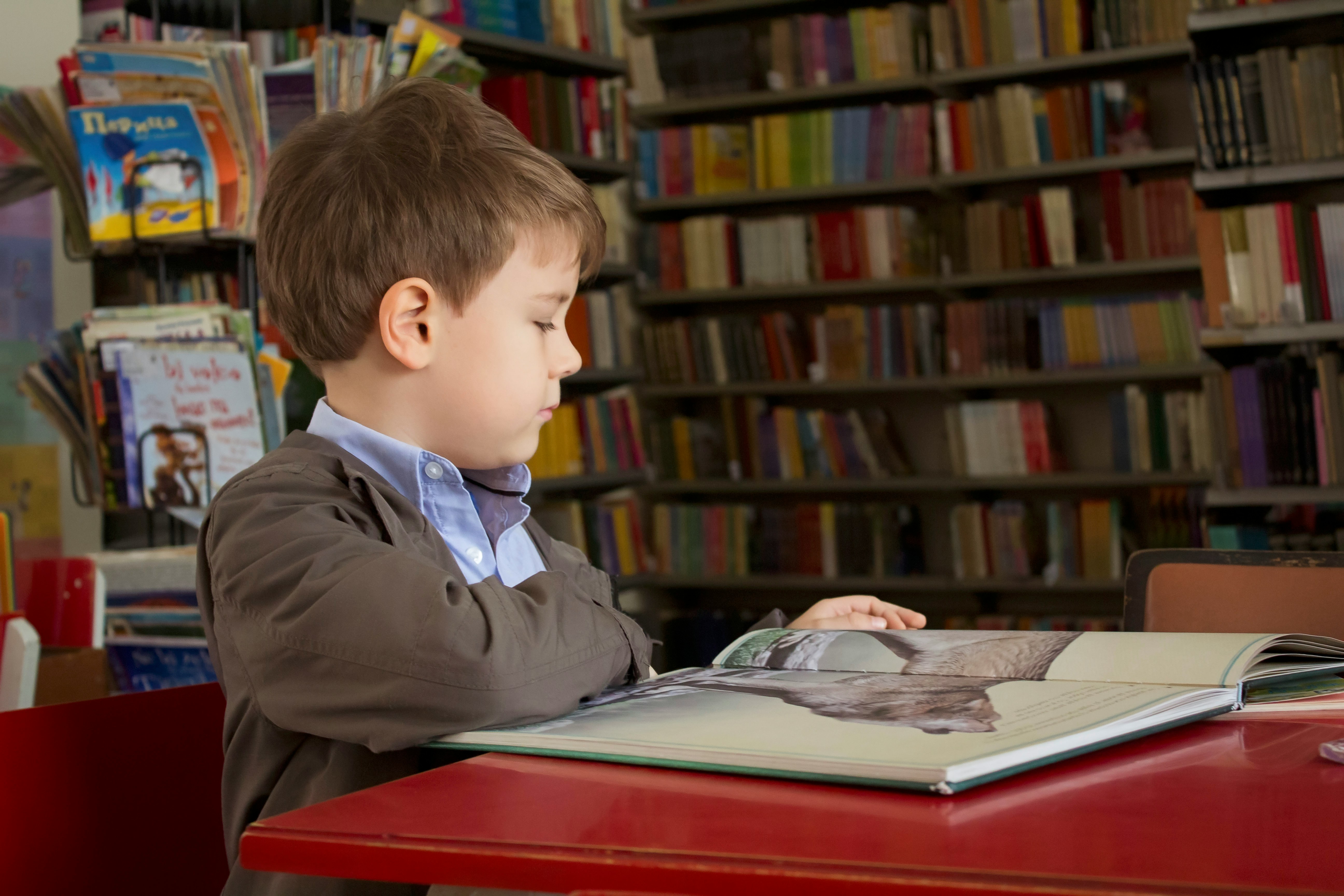 Young boy reading a book in a library
