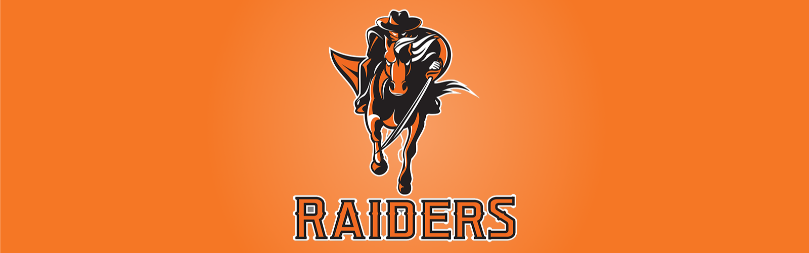 Raiders N logo
