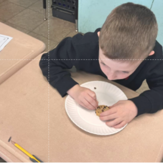 Mrs. Hortons class has been learning about fossils and paleontology. They have excavated chocolate chip fossils from cookies and used pressure to make fossil impressions of dinosaurs in playdough.