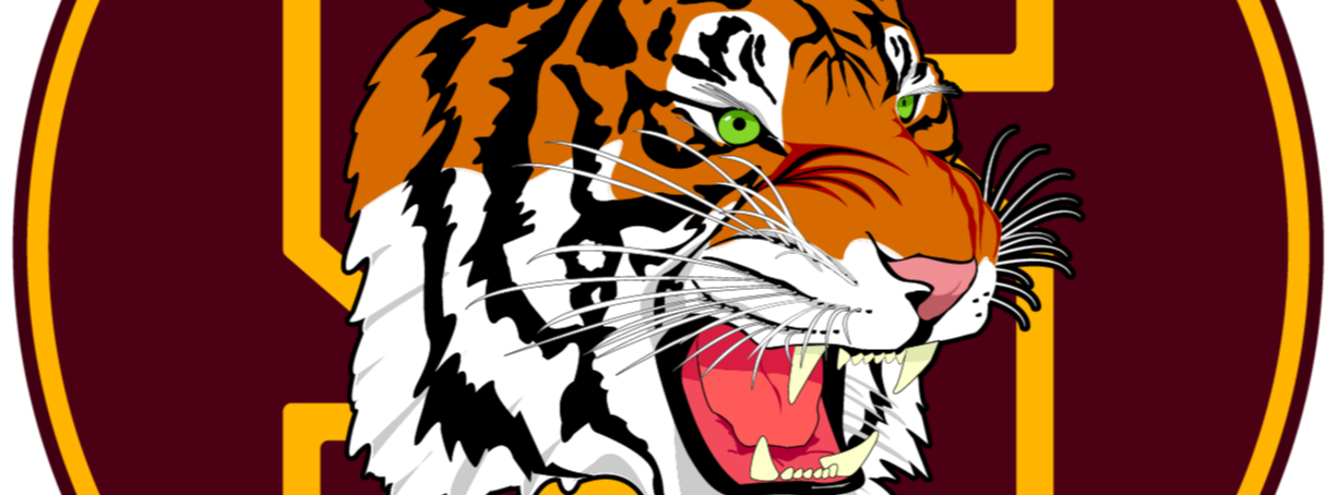 Image of school mascot:  Tiger 