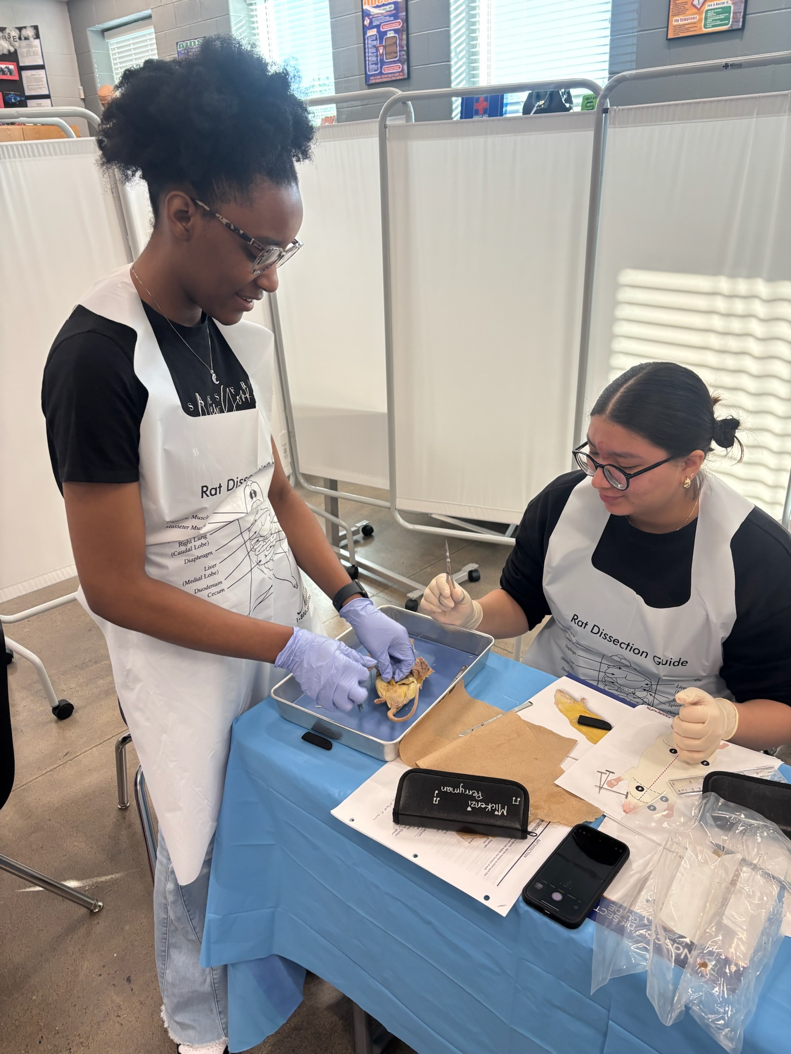 Students Dissecting