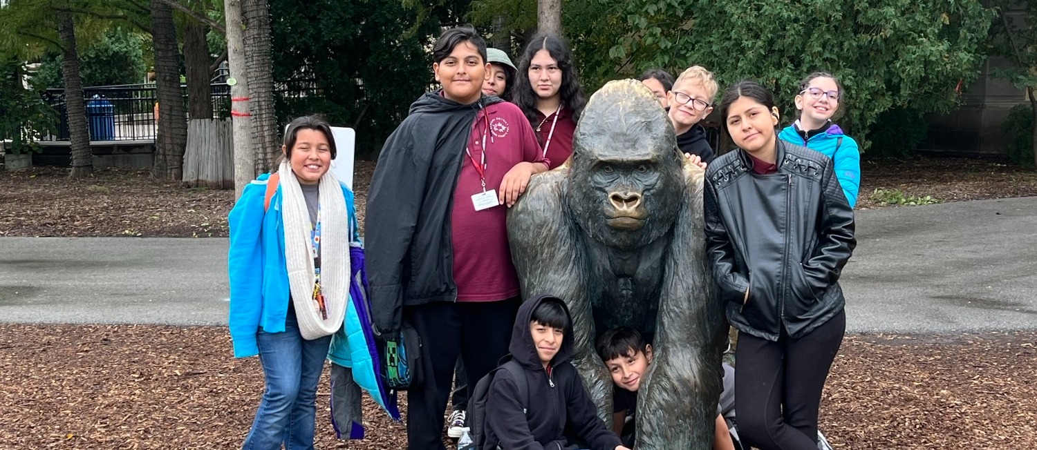 Home Summit School District 104