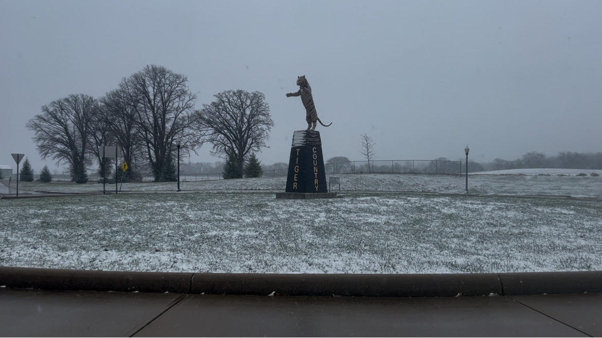 picture of snow on the tiger statue