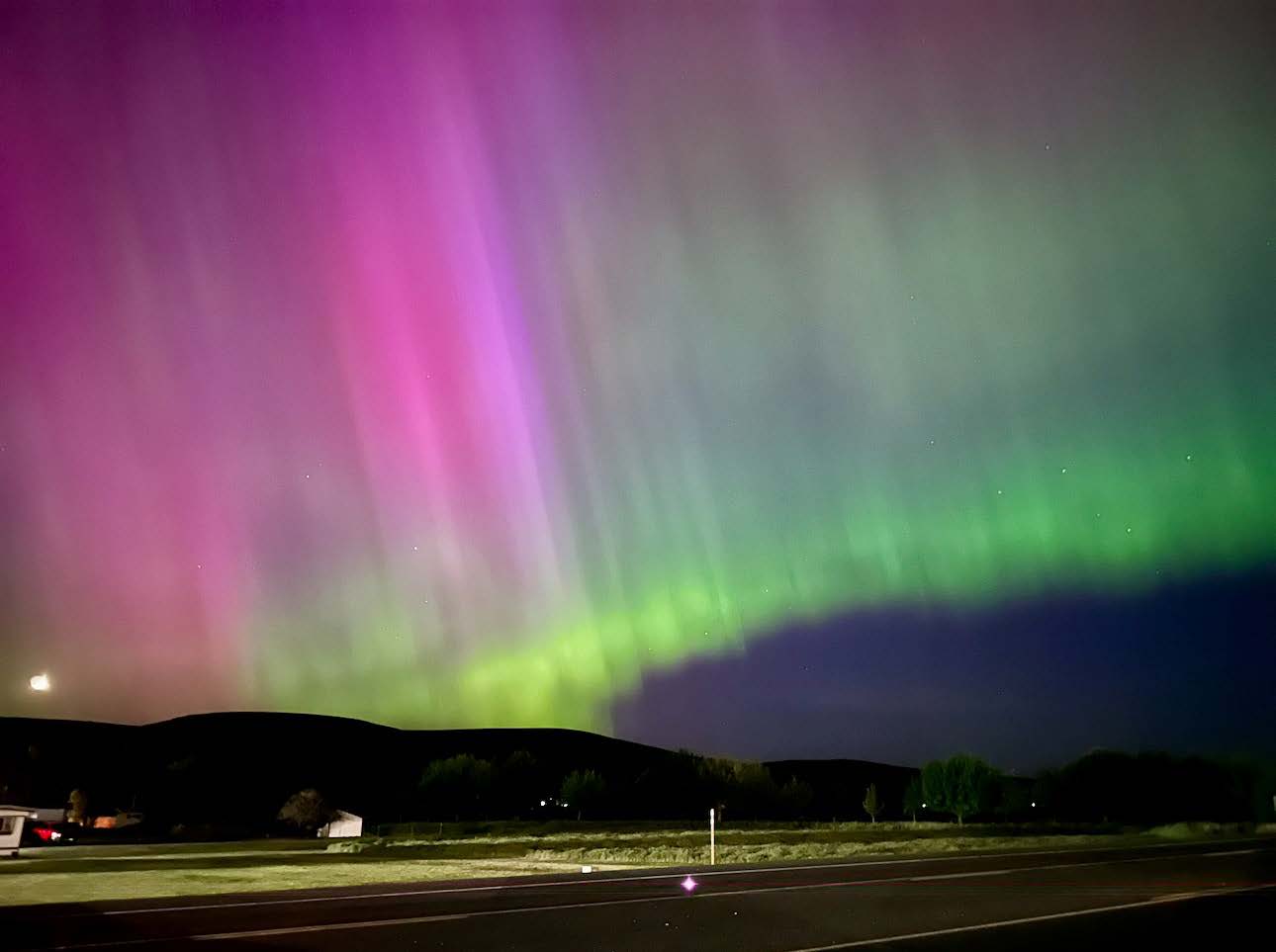 "Rainbow of Diversity" by Cheryl Foos