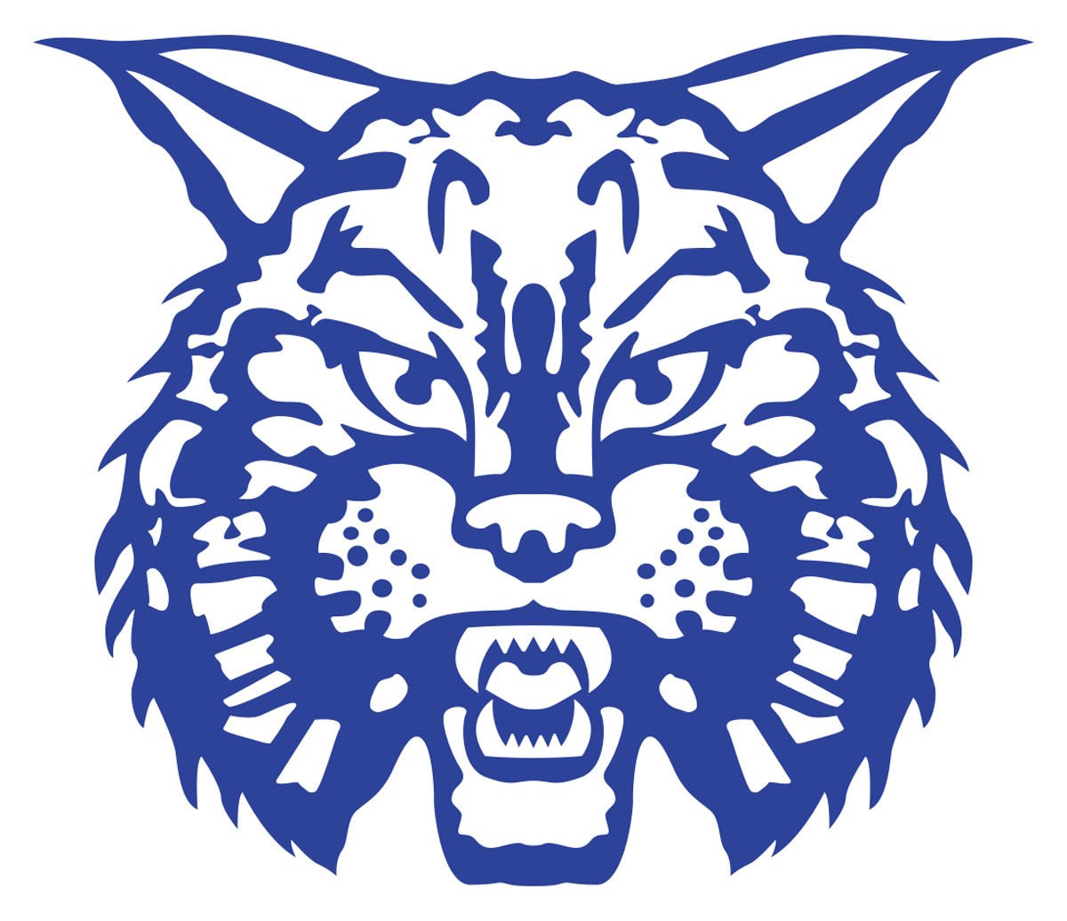 Wildcat