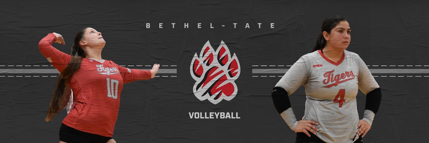 volleyball woodmark