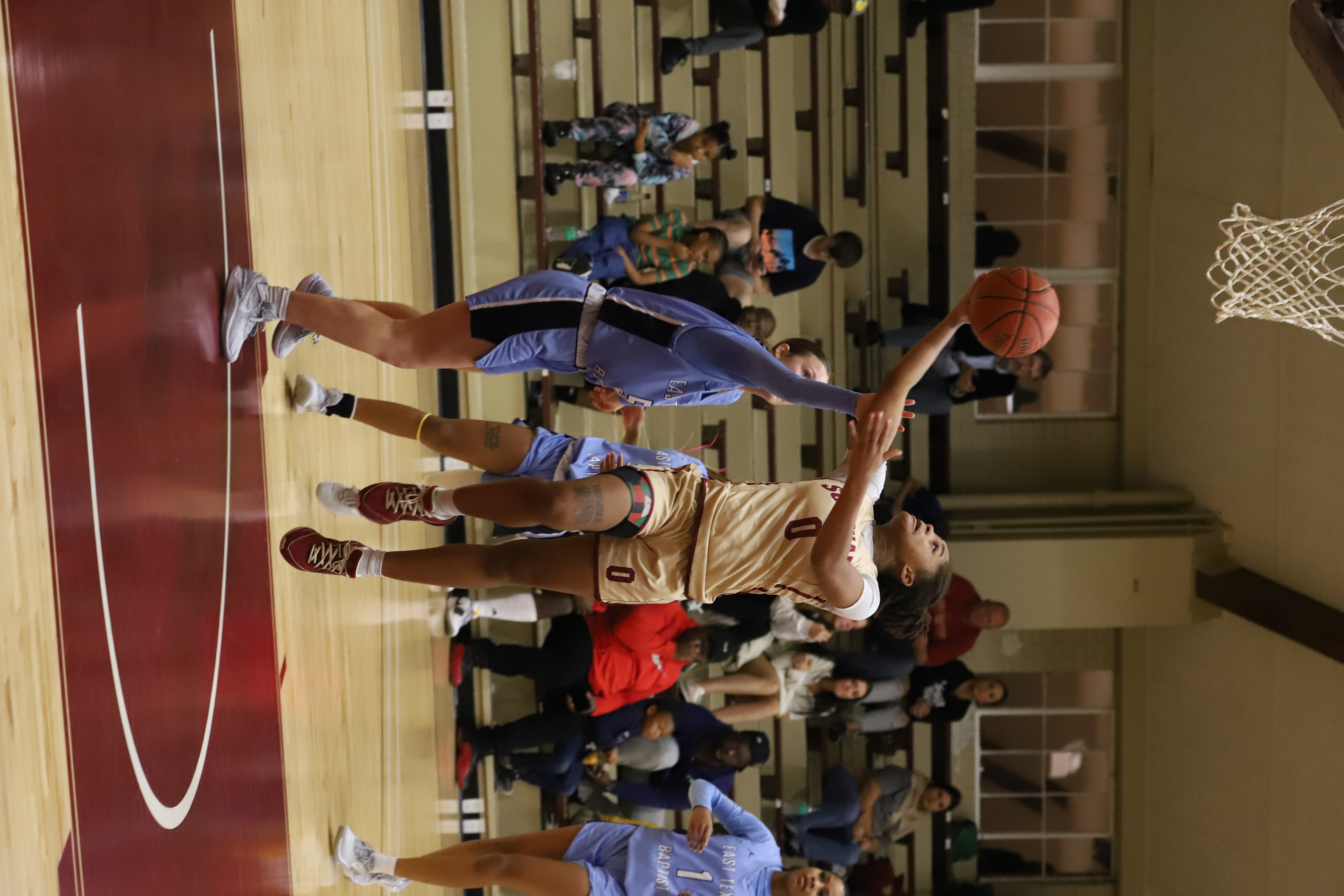 SouthArk Women's Basketball