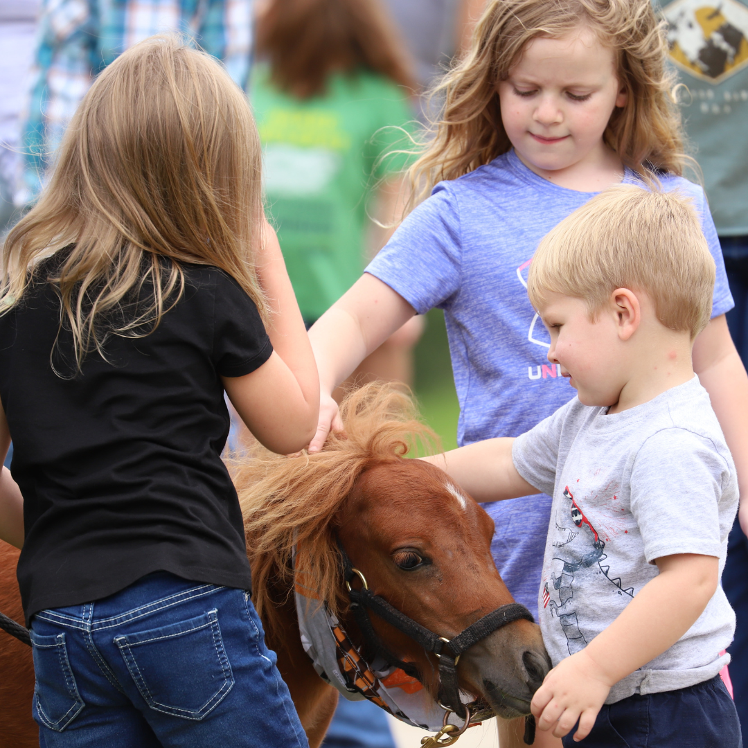 Photo of children petting a small pony at the 2022 Outdoor Expo Kids World