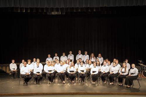 Photo of the 2017 concert band on stage.