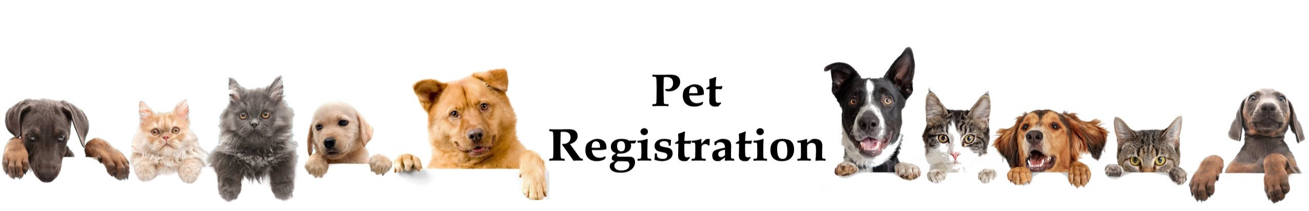 pet registration