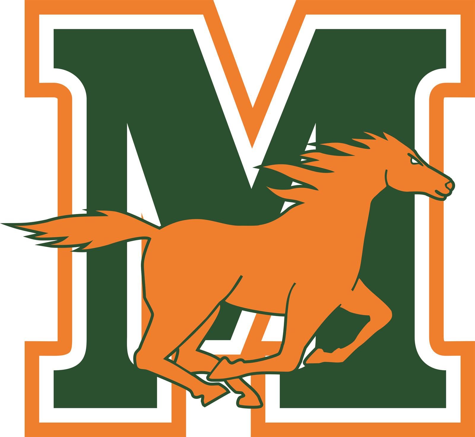  Mandarin High logo