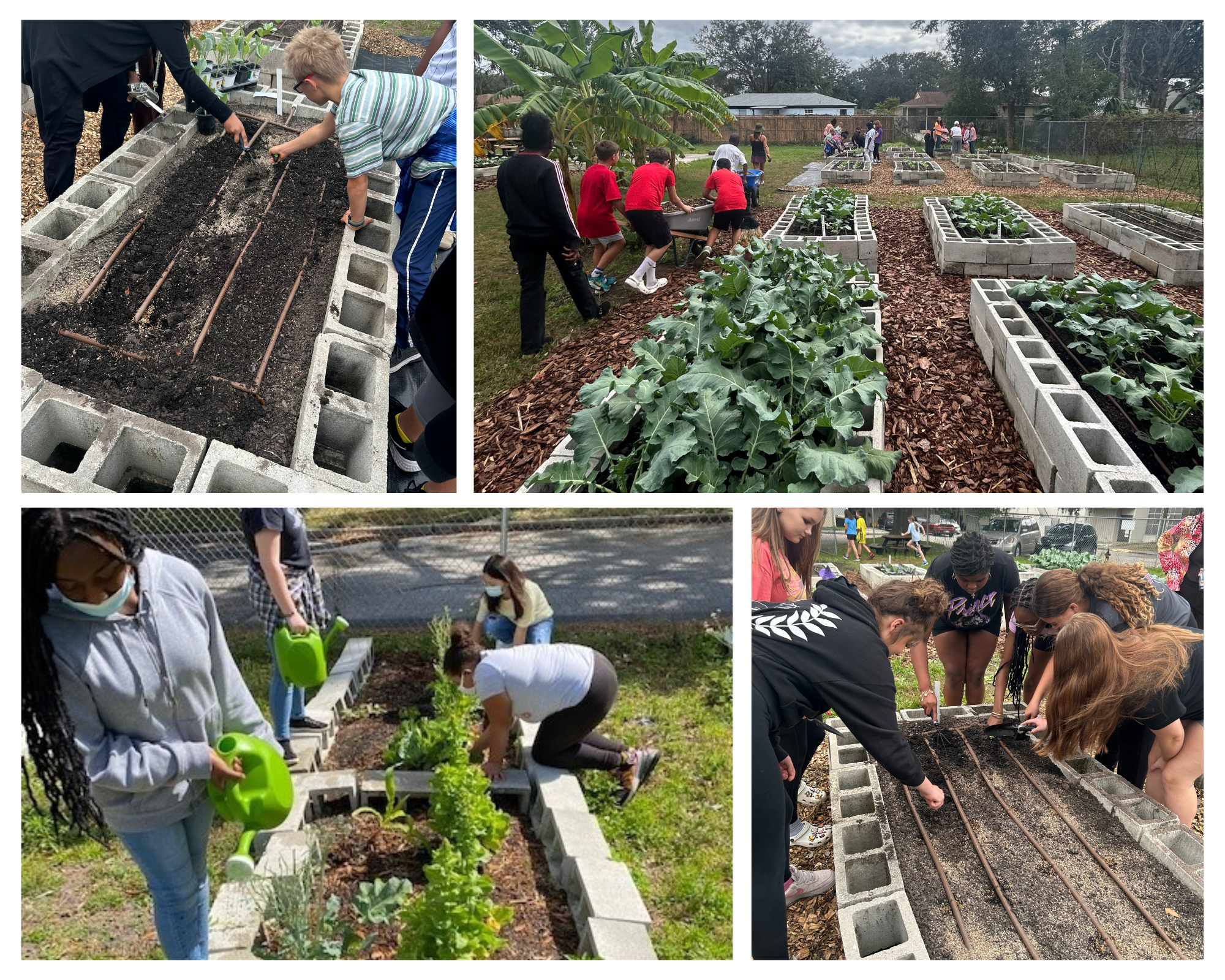 Mayport Coastal Sciences Middle School students work in their on campus garden