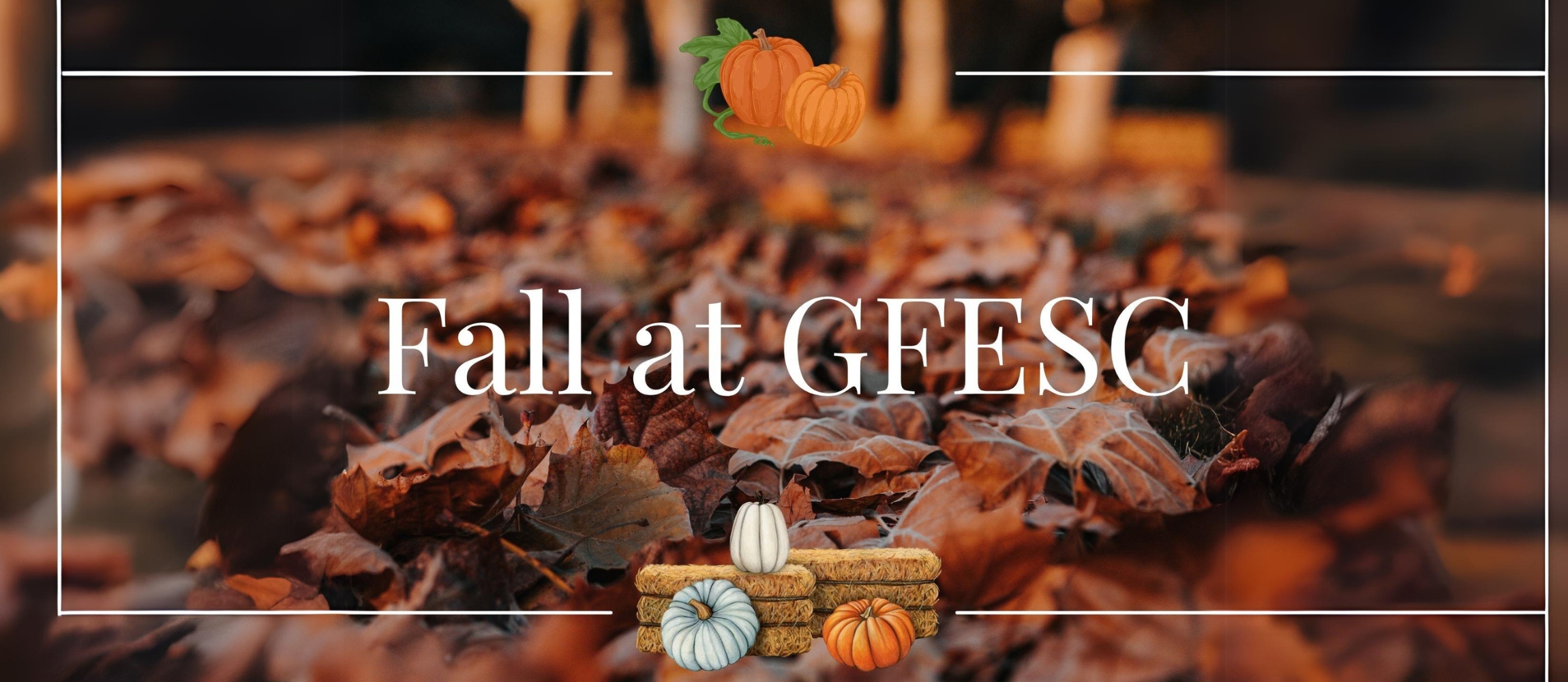 Fall at GFESC