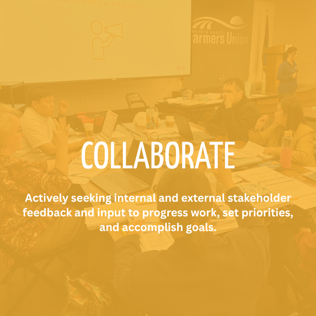 collaborate: Actively seeking internal and external stakeholder feedback and input to progress work, set priorities, and accomplish goals.