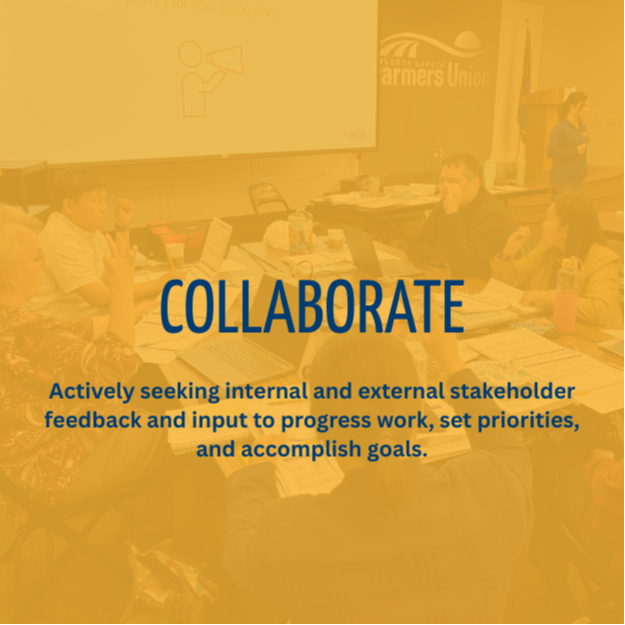 collaborate: Actively seeking internal and external stakeholder feedback and input to progress work, set priorities, and accomplish goals.