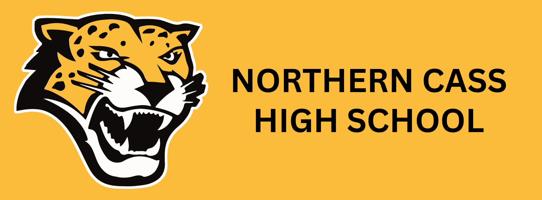 northern cass high school logo