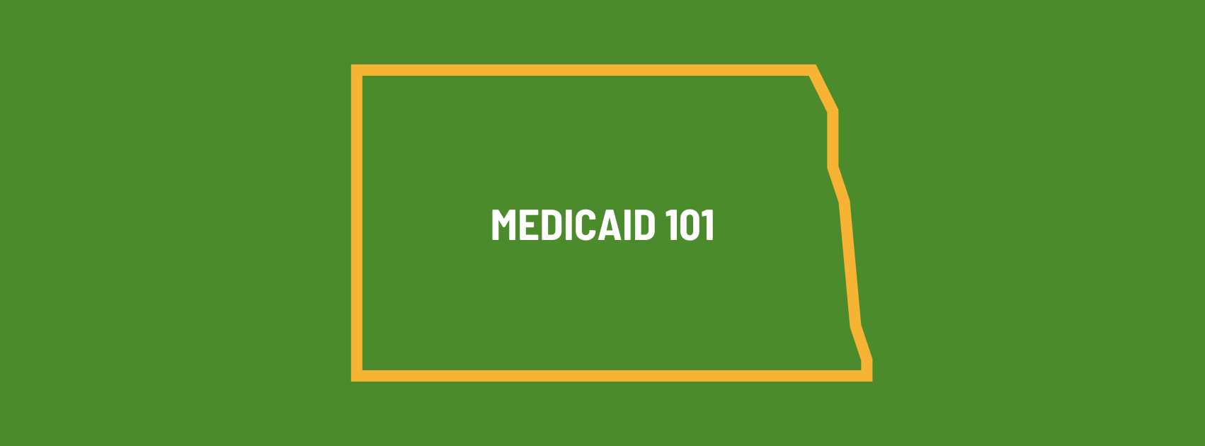 medicaid 101