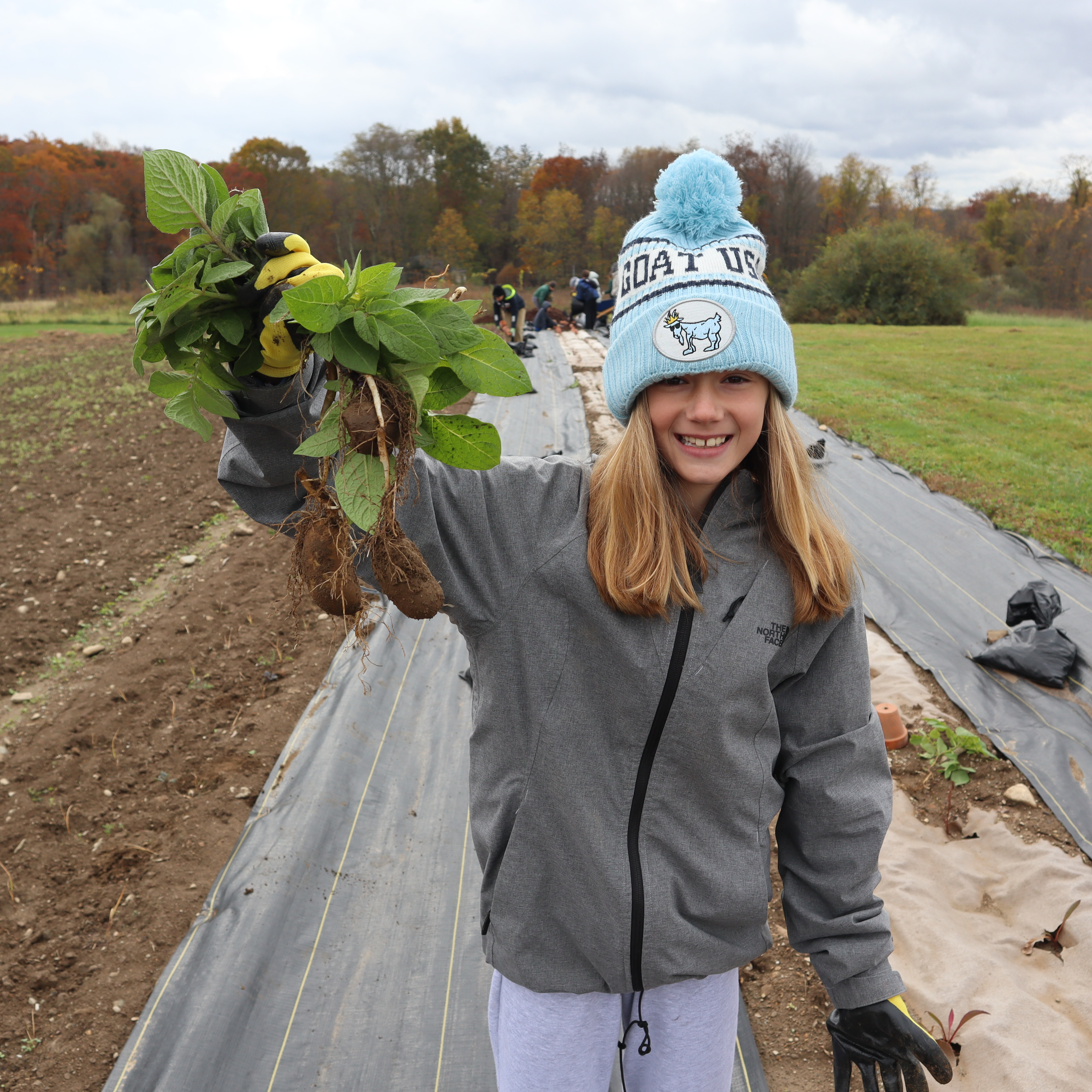 hilltop hanover farm field trip