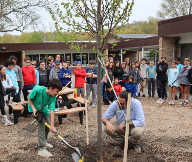 tree planting