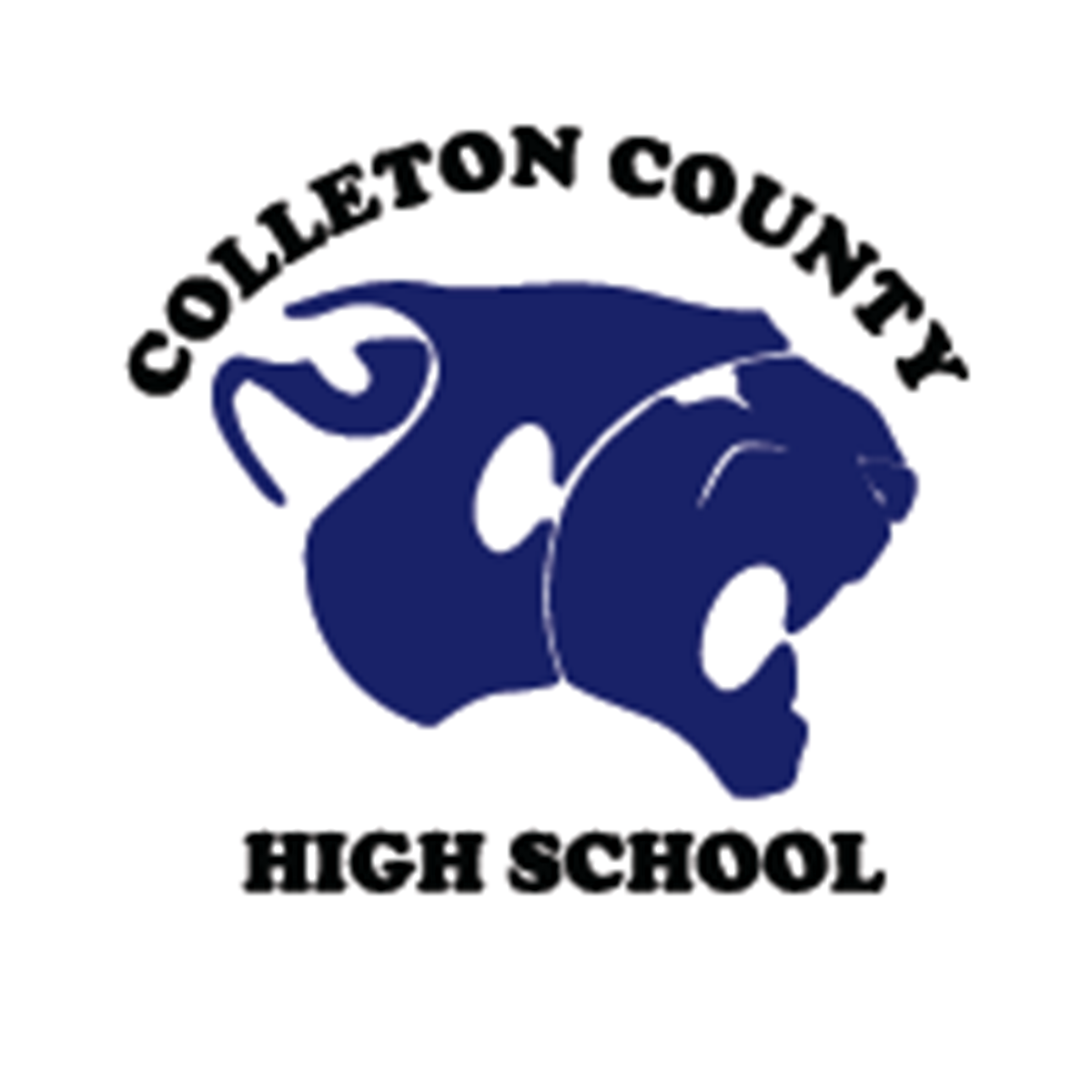 Guidance Colleton County High School