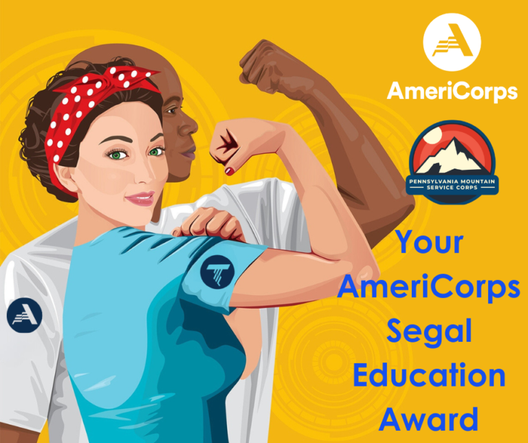 Americorp Award banner