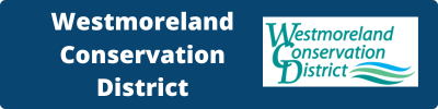 wcd