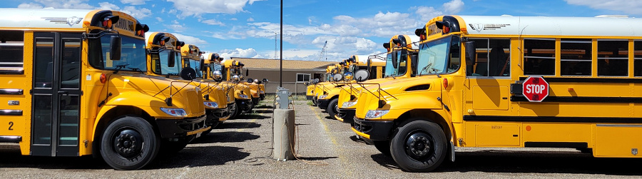 Bus fleet