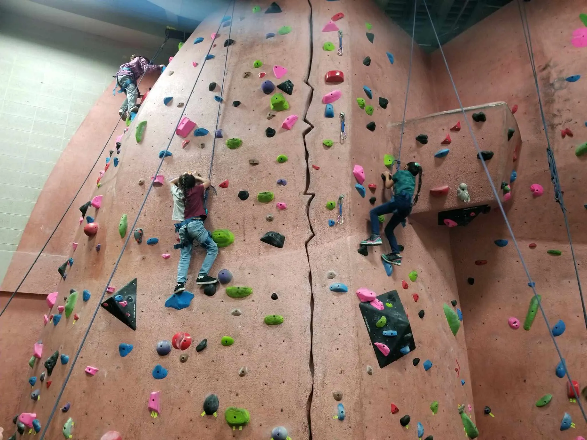 Students Rock Climbing