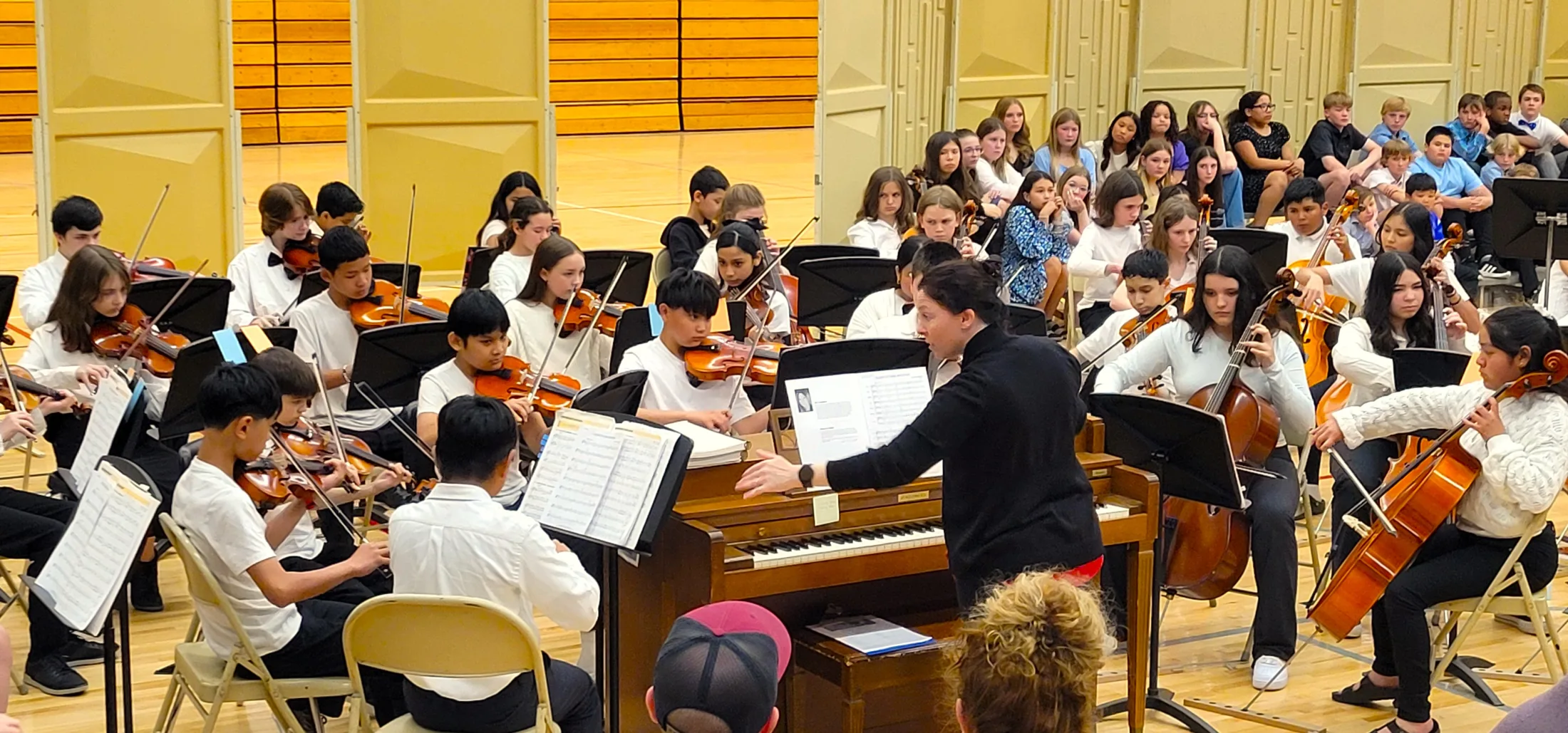 SWMS Orchestra