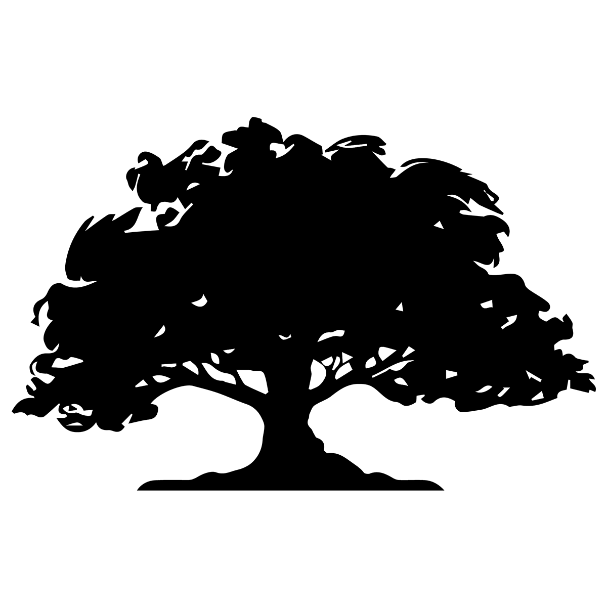 Financial Aid Information For Seniors Arlington High School