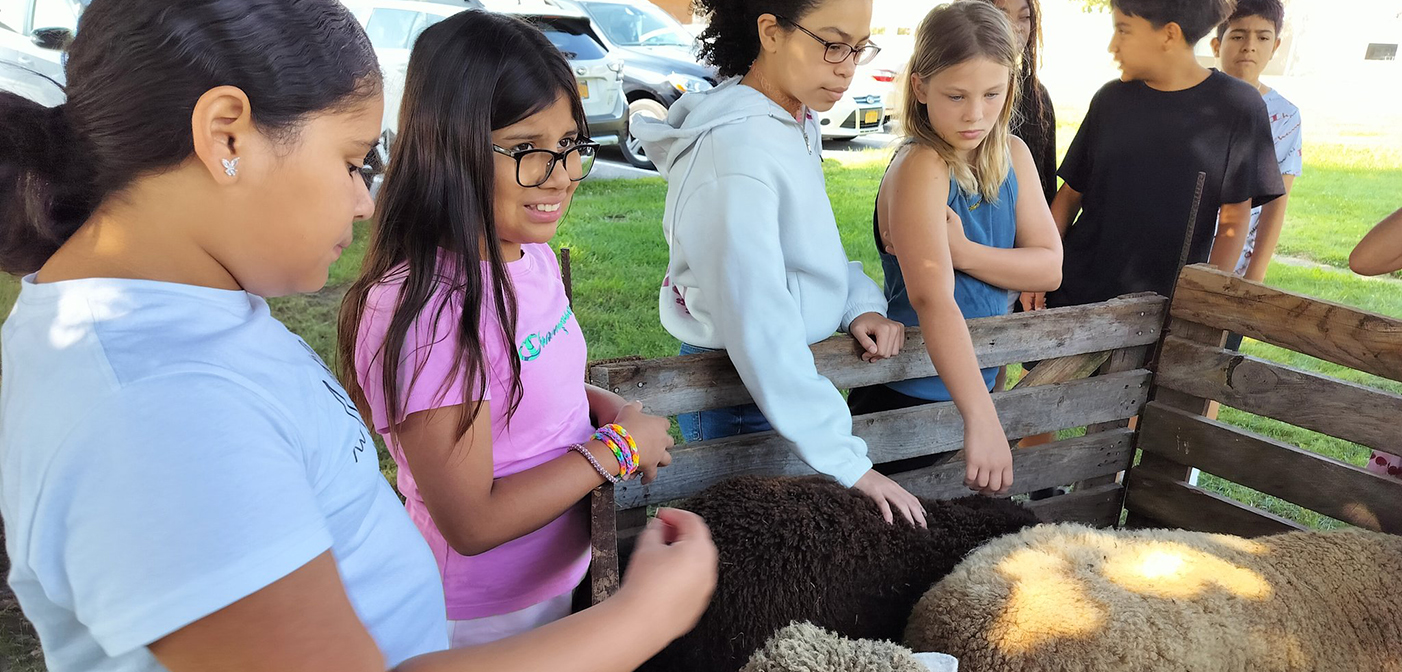 Students petting ewes from Patchwork Pastures Farm