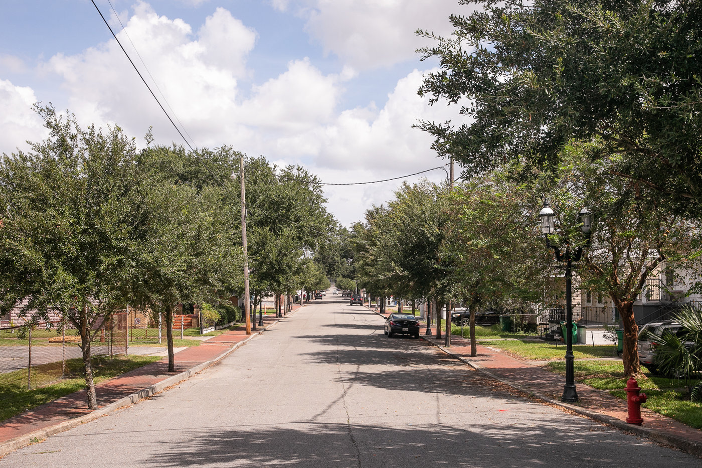  A street lined with trees and a red fire hydrant