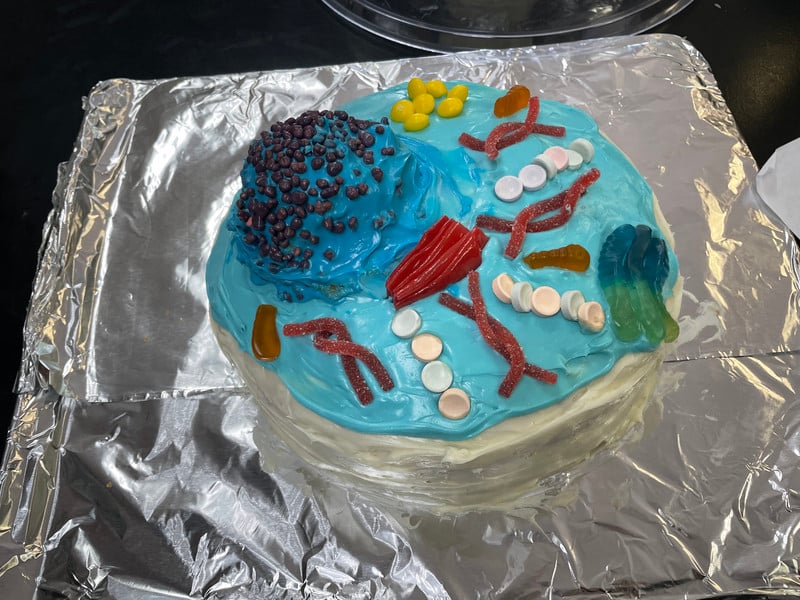 Edible Cells