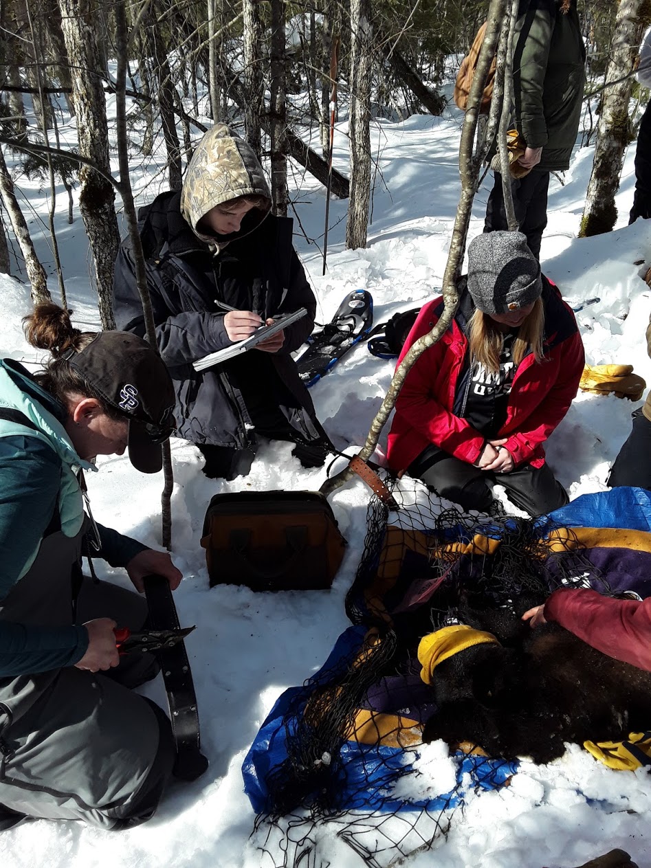 A group of people sitting in the snow