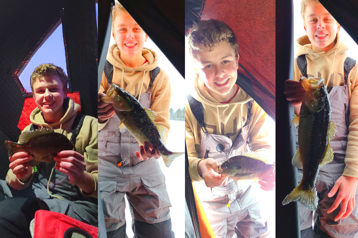 A boy proudly holds a fish in four different pictures, showcasing his fishing adventure.