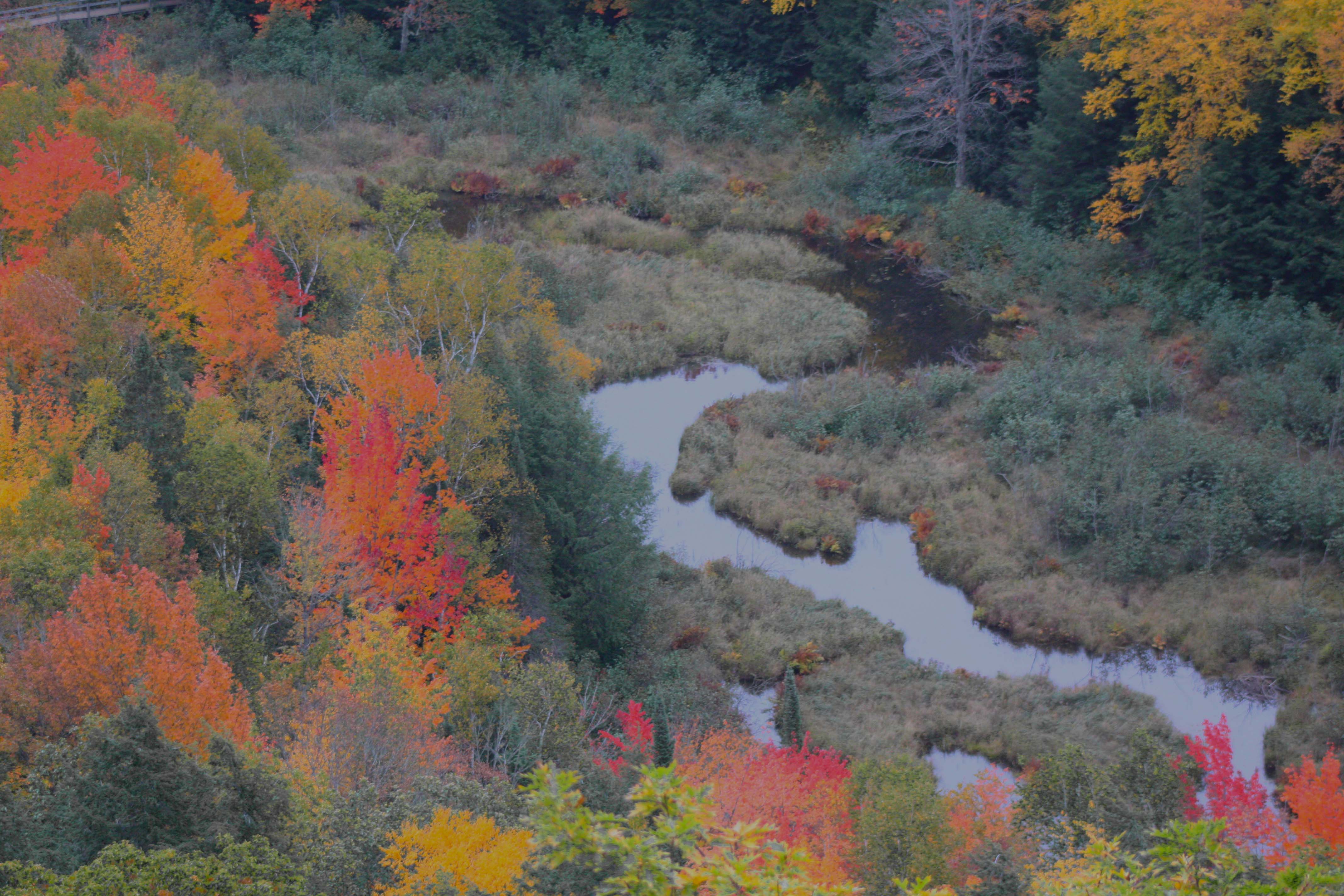 Porcupine Mountains Colorama Art Tour | Mercer School District