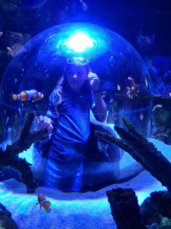 A child happily sitting in a bubble inside an aquarium