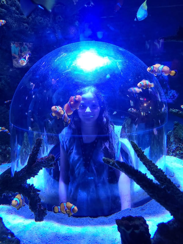 A child happily sitting in a bubble inside an aquarium