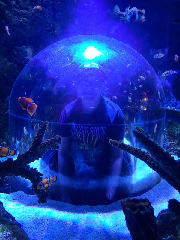 A child happily sitting in a bubble inside an aquarium