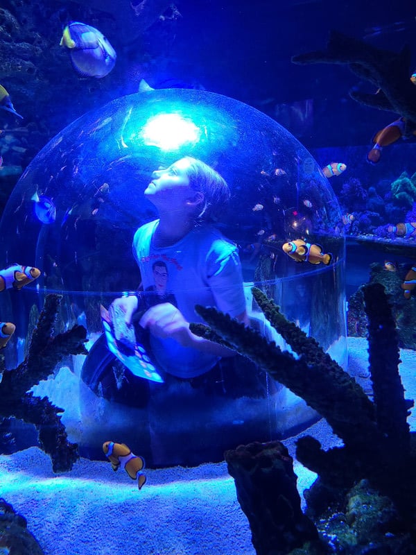 A child happily sitting in a bubble inside an aquarium