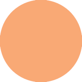 Apricot circle #F9A975