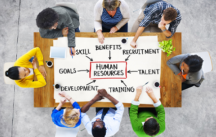 About Human Resources and Talent Development