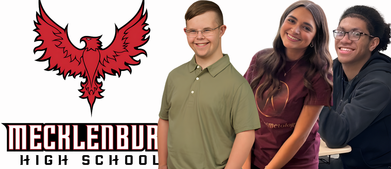 main header image for mchs